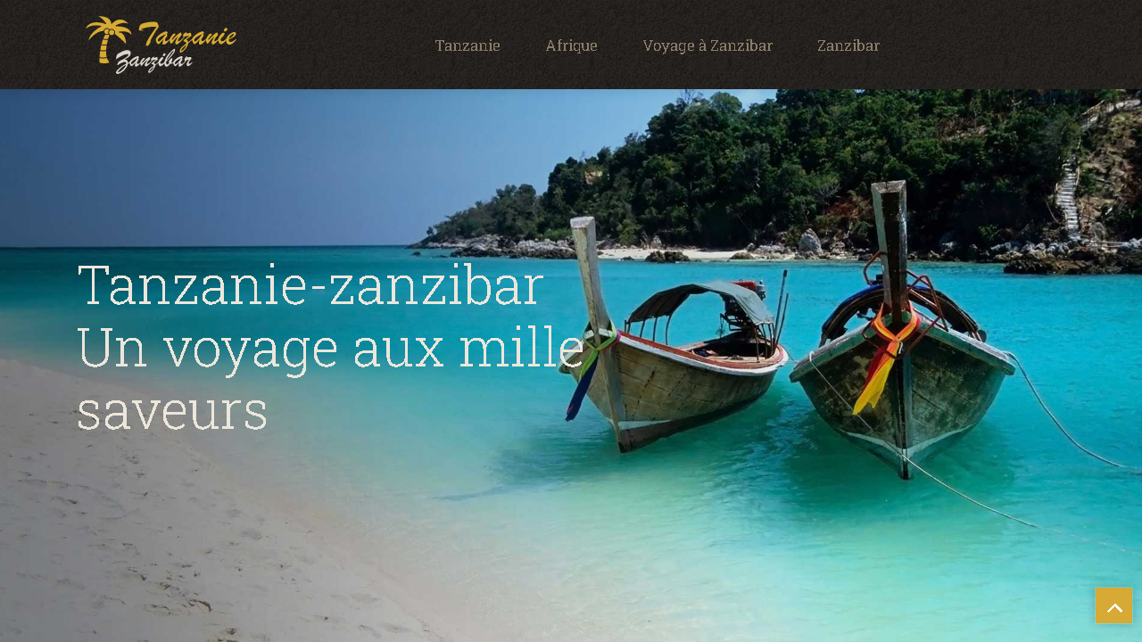 Capture d'écran de http://www.tanzanie-zanzibar.fr/